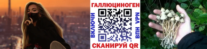 Псилоцибиновые грибы Magic Shrooms  мега зеркало  сайты даркнета состав  продажа наркотиков  Нижние Серги 